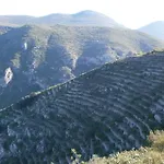 Летний дом El Corral *